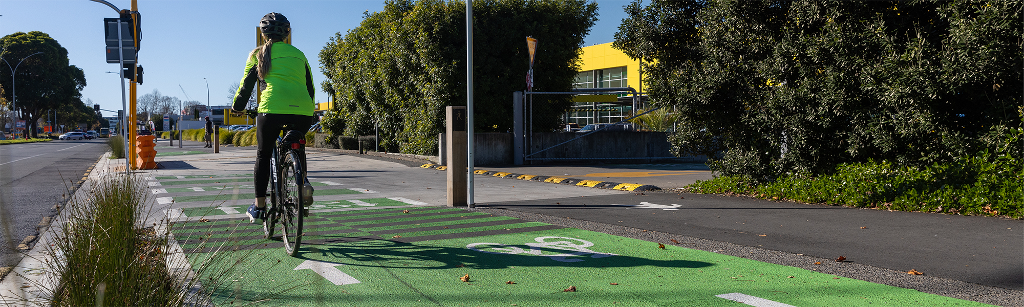 Cameron Road Early Design banner