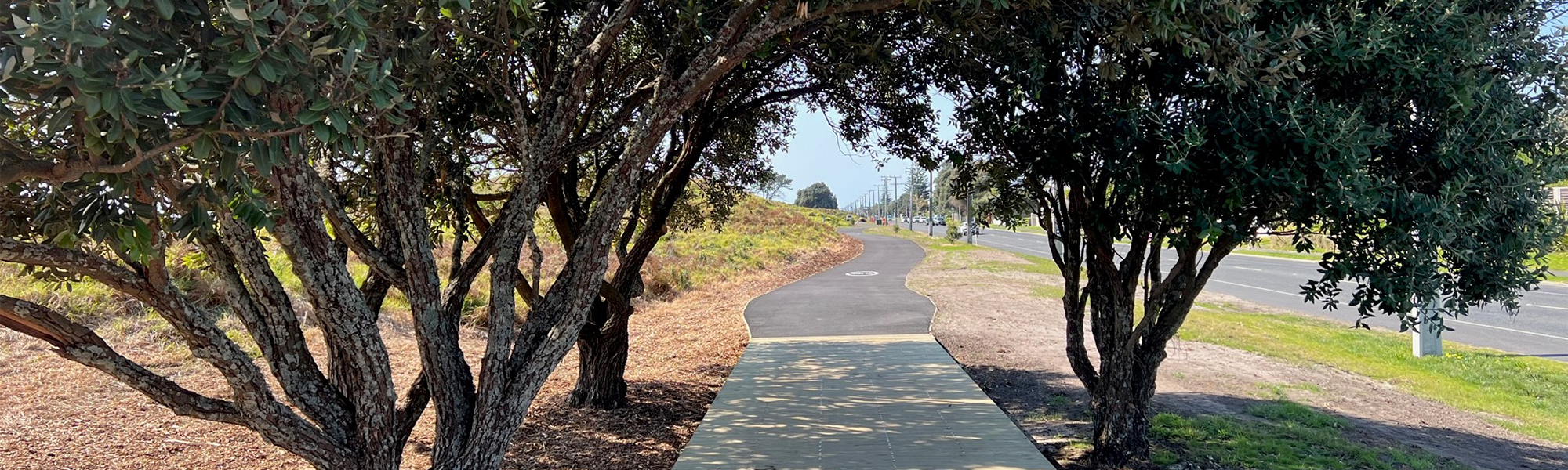 Pāpāmoa Shared Pathway banner