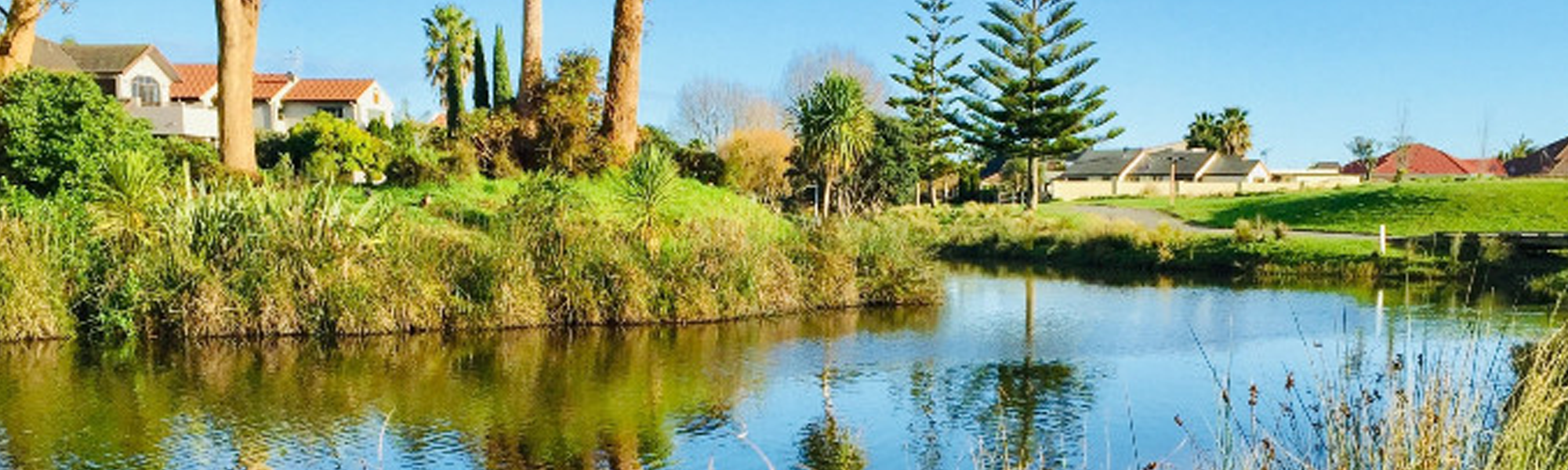 Wairākei landscape