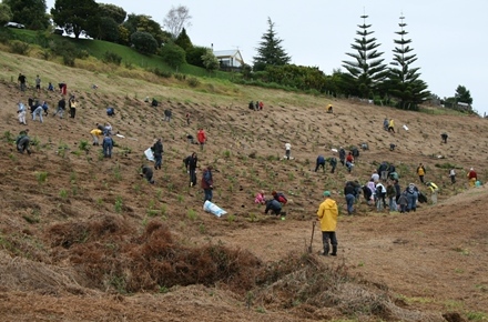 Planting day