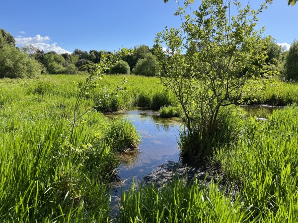 Watercourse assessment