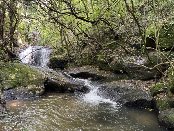 Watercourse assessment