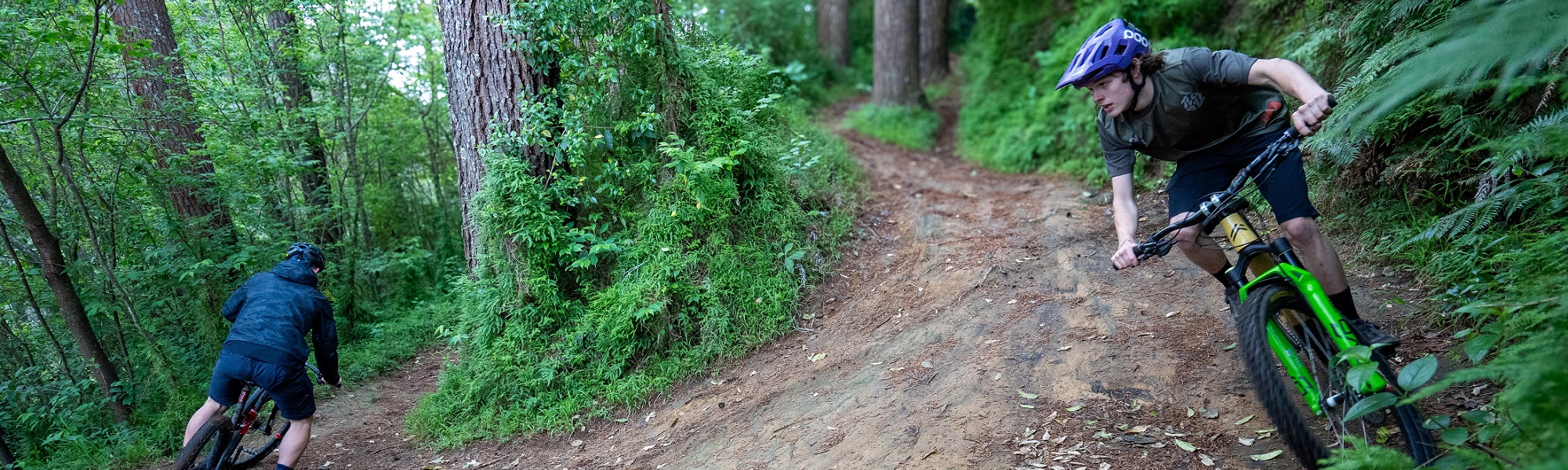 Oropi Grove Mountain bike riders